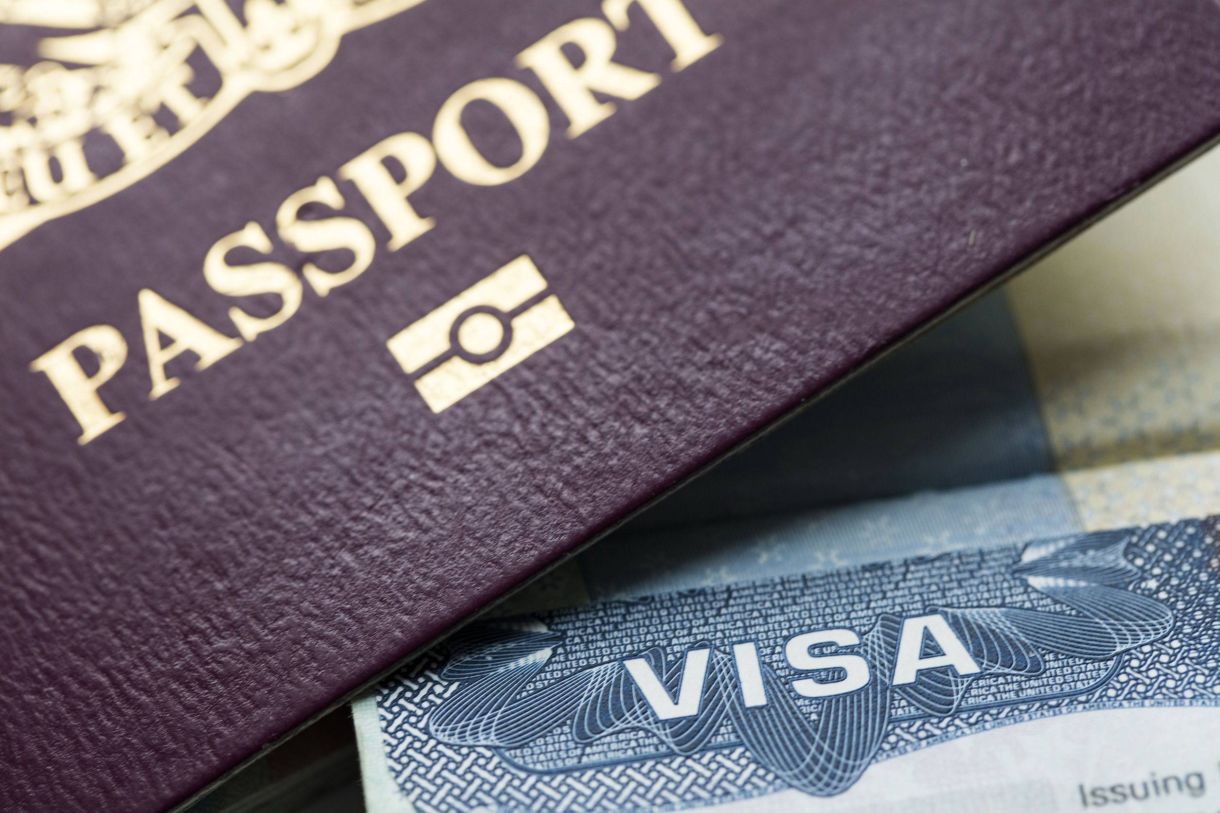 Difference Between Labour Visa And Immigration Visa