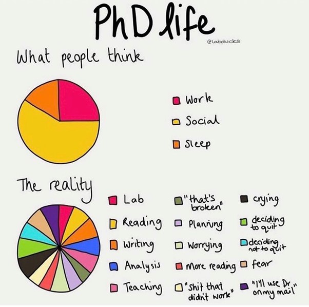 what is phd life