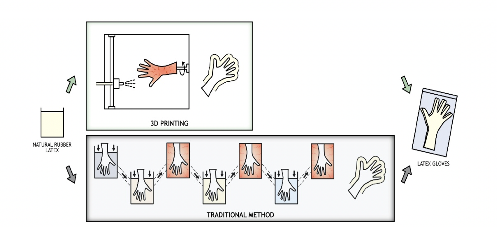 New modular manufacturing process for latex rubber gloves on course for