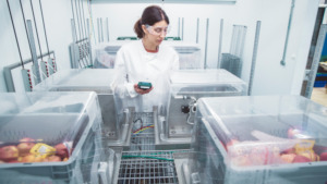 researcher in cold chain lab