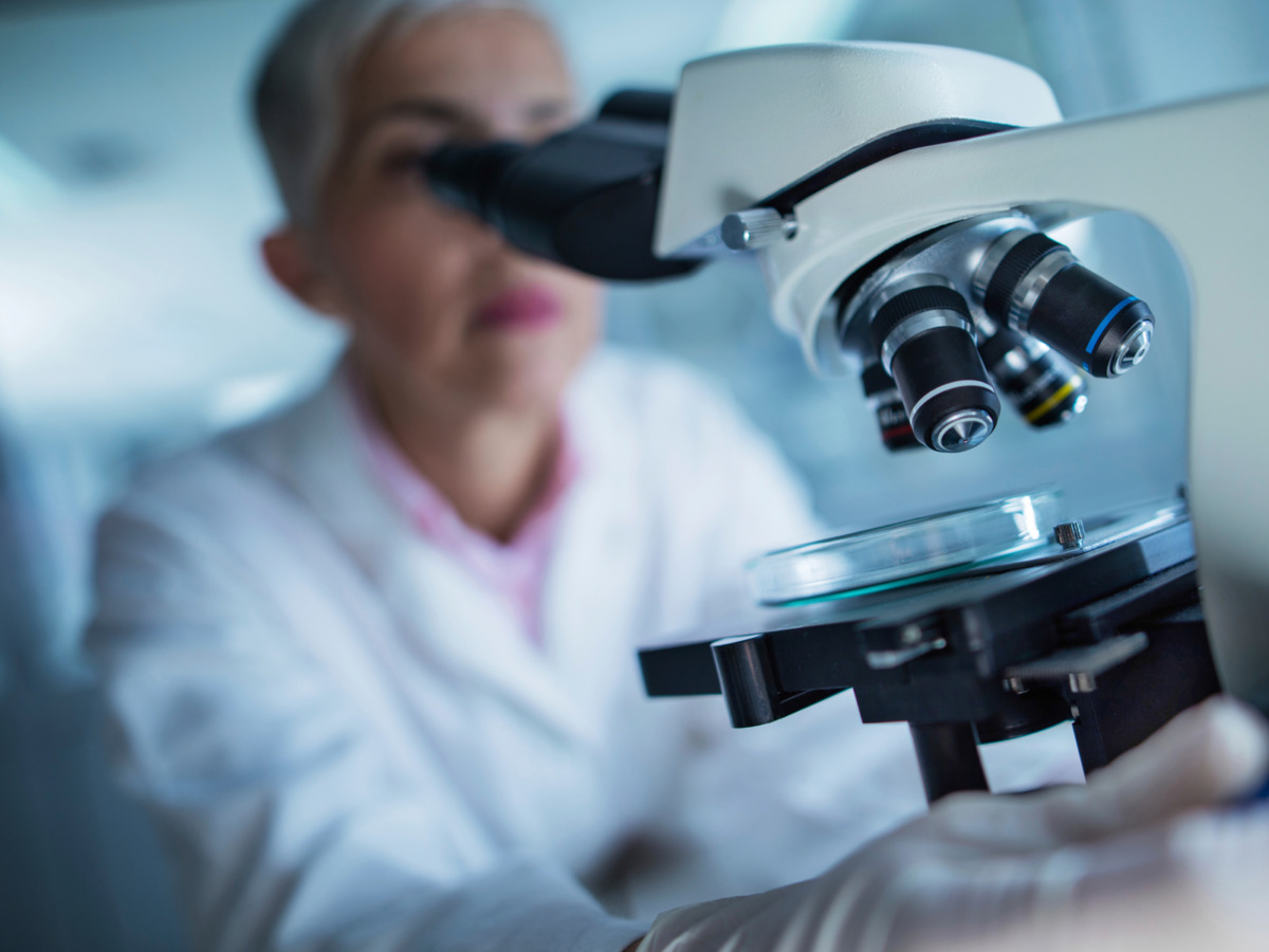 What is the shelfmark and how do I use it to find a book in the library