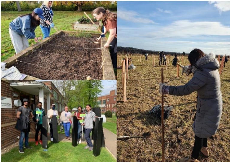 A Holistic Approach To Sustainability At Cranfield University: A ...