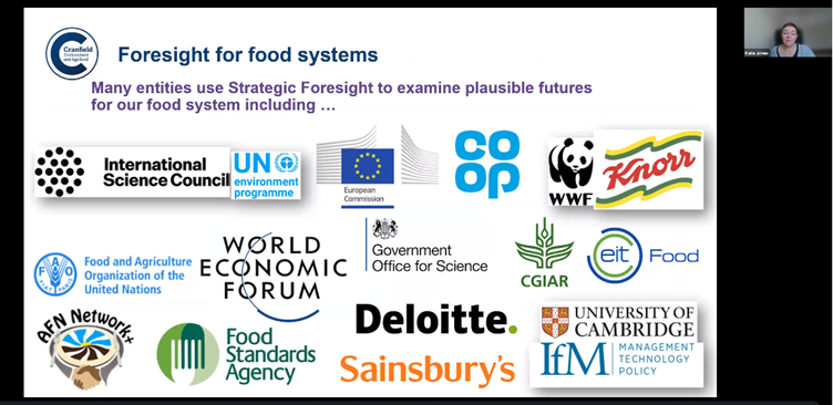 Using strategic foresight techniques to think about our future food ...