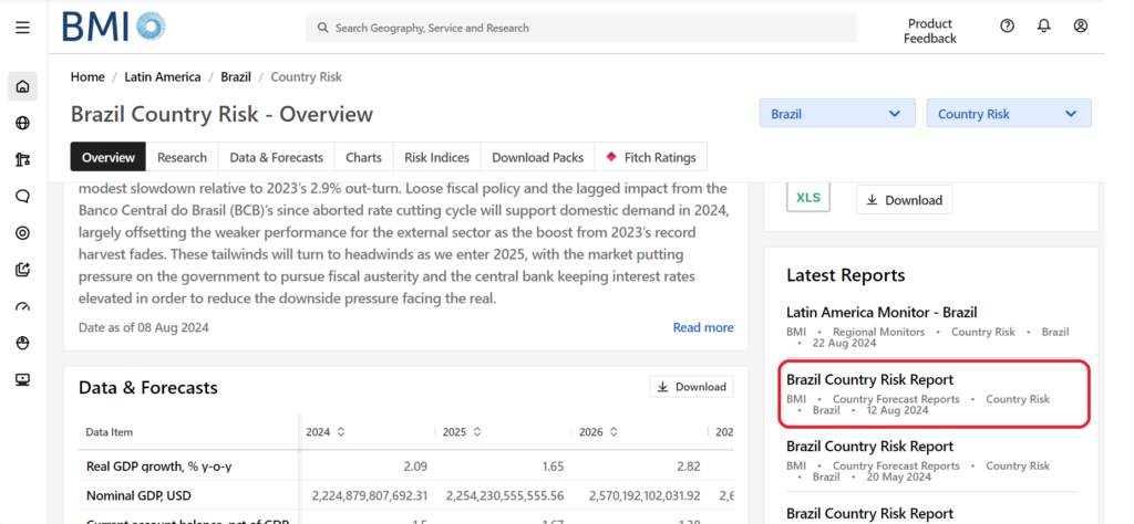 screenshot - country risk report