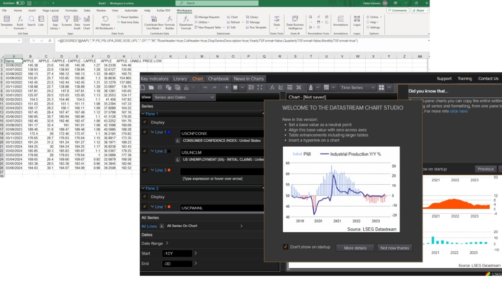 Screenshot - Datastream webpage and Excel page
